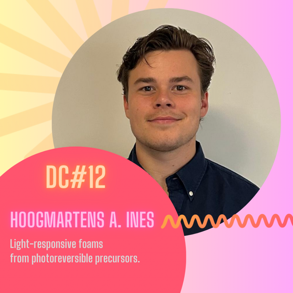 photo of HOOGMARTENS_A_INES , description text of his Light-responsive foams from photoreversible precursors