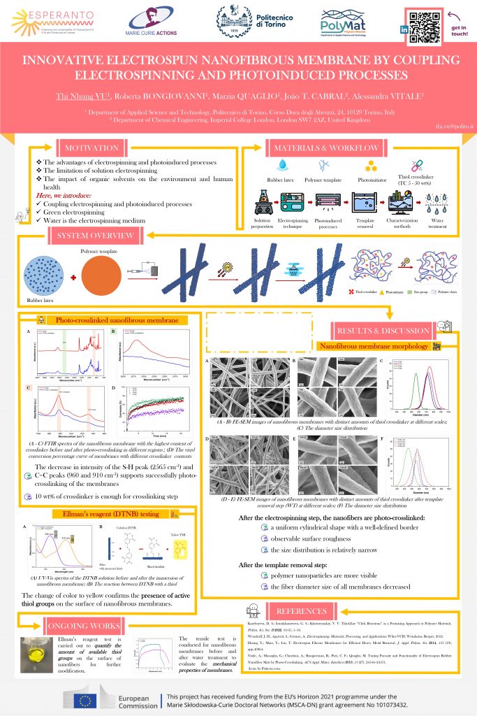 link to Thi Nhung poster download